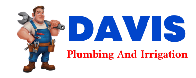 Trusted plumber in MC EWEN